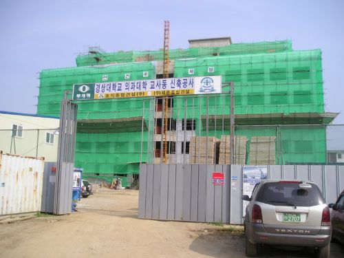 06.jpg